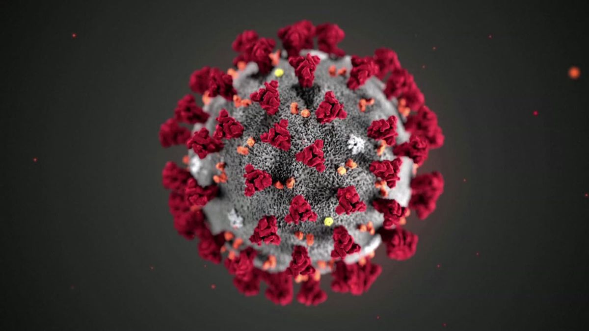 Numărul cazurilor de coronavirus în lume se apropie rapid de 11 milioane