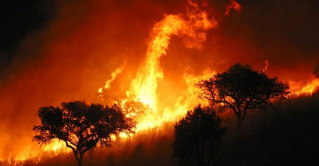 Incendii de vegetație în vestul Spaniei