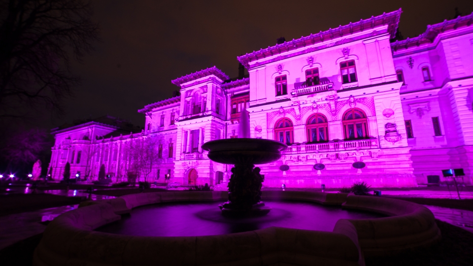 Palatul Cotroceni, iluminat în roz de Ziua luptei împotriva cancerului la sân