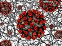 Franța a identificat o nouă mutație a virusului Sars-Cov-2