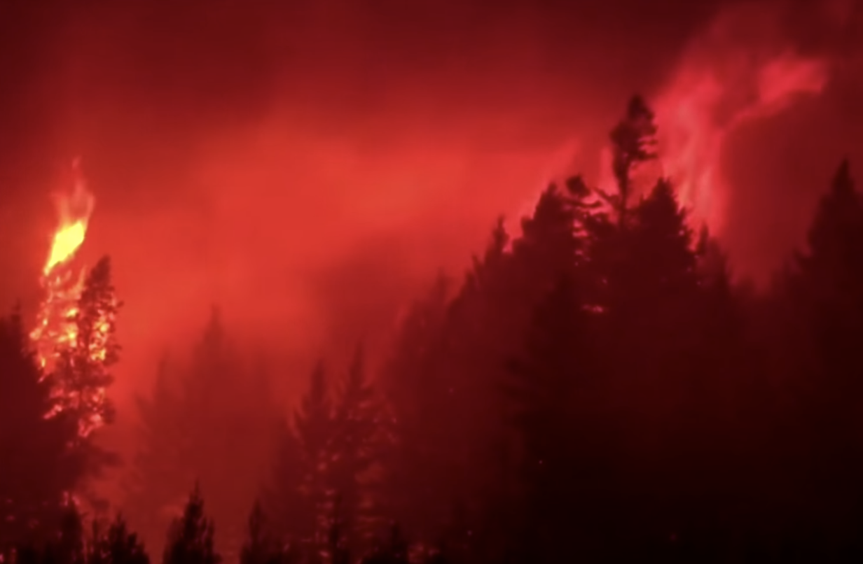 Incendii de vegetație în vestul Canadei. Provincia Columbia Britanică a decretat starea de urgenţă