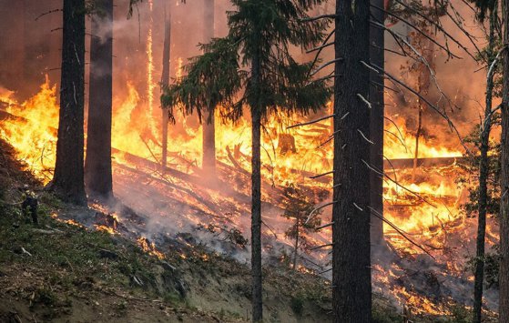 Caniculă și risc de incendii în Grecia