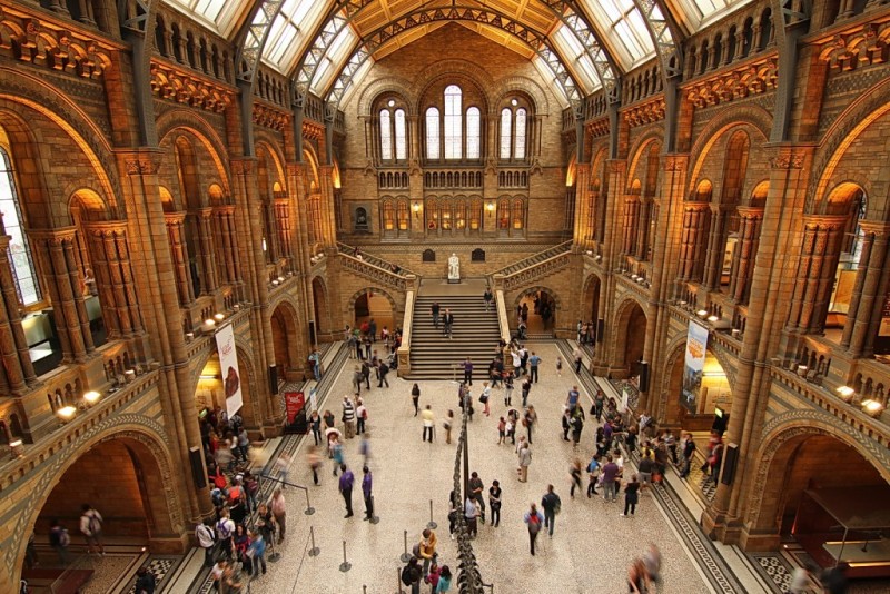 Muzeul de Istorie Naturală din Londra va fi închis o săptămână