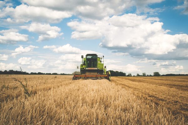 Rusia și Ucraina vor semna un acord pentru reluarea exporturilor de cereale
