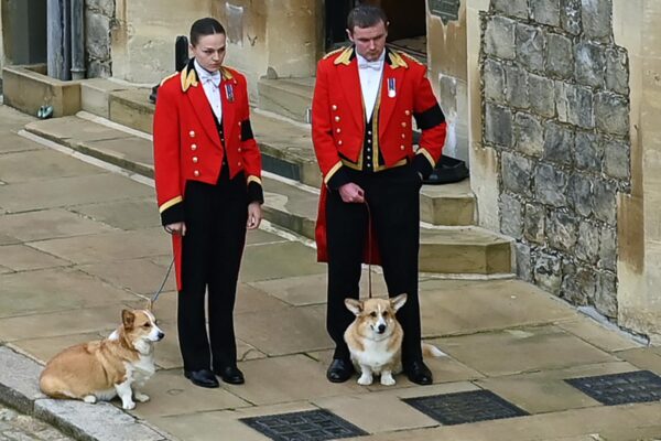 Expoziţie de fotografie dedicată câinilor corgi ai reginei Elisabeta a II-a, inaugurată la Londra
