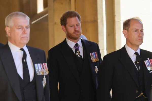 Atribuțiile regale ale prinților Harry și Andrew, discutate pentru prima dată în Parlament