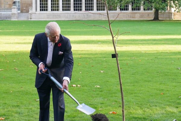 Regele Charles a plantat un tei în grădina Palatului Buckingham. Omagiu emoționant adus reginei Elisabeta