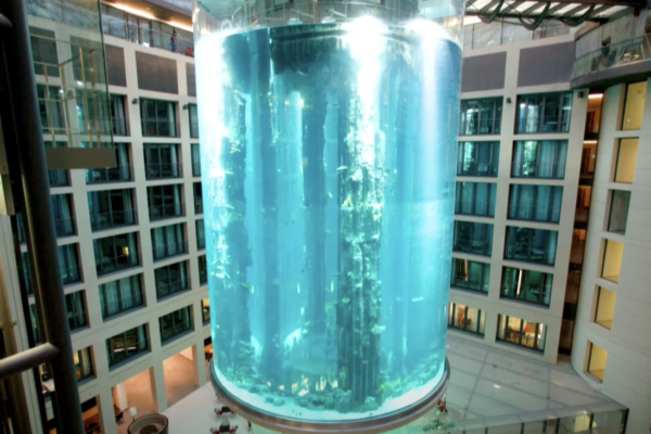 Cel mai mare acvariu cilindric din lume, care conţinea un milion de litri de apă şi 1.500 de peşti, a explodat la Berlin