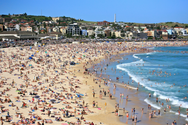 Mai multe plaje din Australia, închise după ce un băiat a fost rănit în urma atacului unui rechin